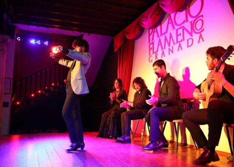 Granada: 1-Hour Traditional Flamenco Show at Palacio - Immersive Flamenco Experience