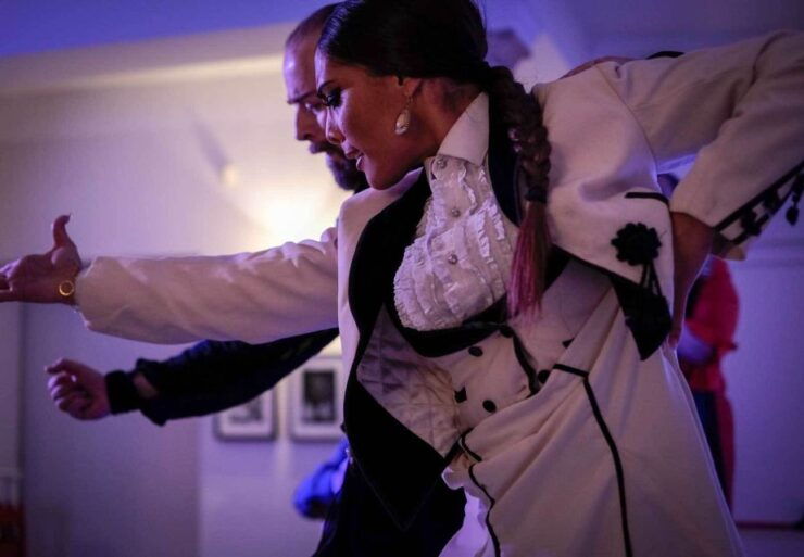 Granada: 1-Hour Traditional Flamenco Show - Ticket Information