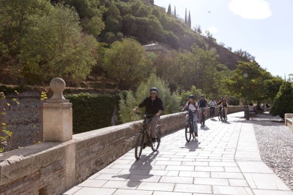 Granada: Albaicin and Sacromonte Electric Bike Tour - Customer Reviews and Testimonials