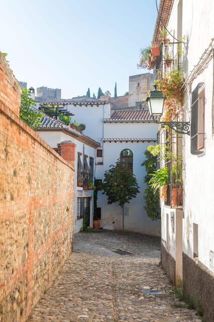 Granada: Albaicín and Sacromonte Guided Walking Tour - Customer Feedback and Ratings