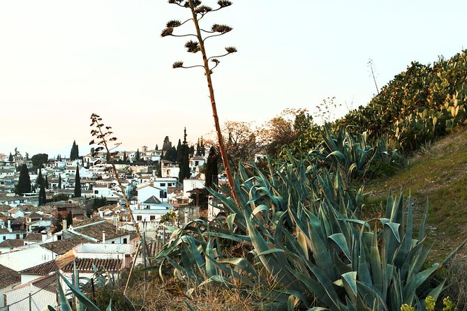 Granada: Albaicin and Sacromonte Private Tour - Background Information