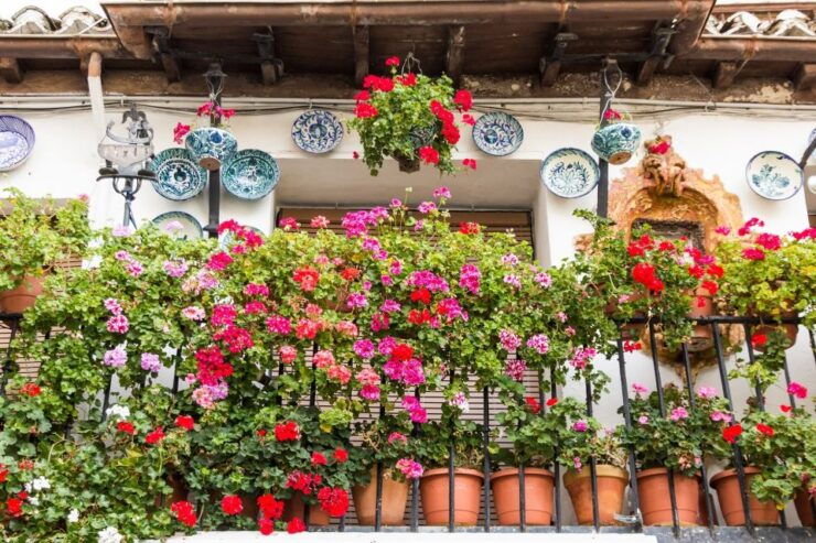 Granada: Albaicín and Sacromonte Walking Tour - Activity Details