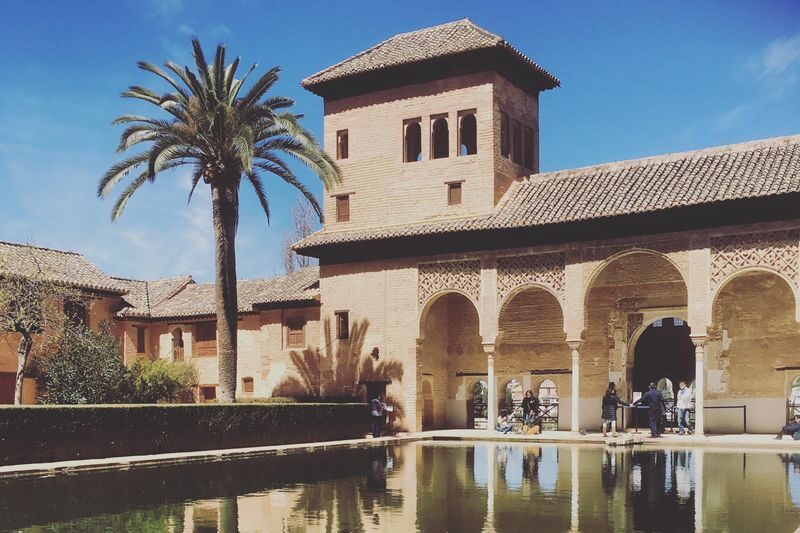Granada Alhambra Guided Tour with Transport from Seville - From Seville to Granada: a full day on the road