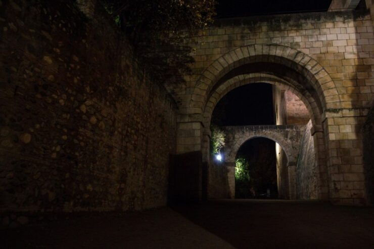 Granada: Alhambra Night Visit Entry Ticket - Ticket Details
