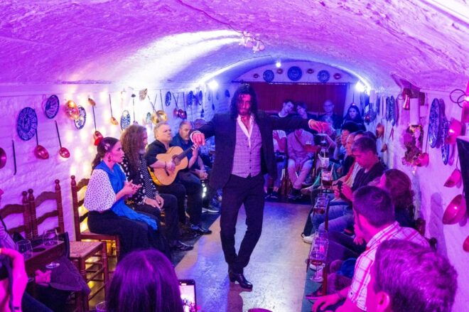 Granada: Authentic and Intimate Flamenco Show With Snacks - Included Amenities