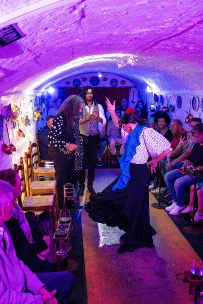 Granada: Authentic and Intimate Flamenco Show With Snacks - Reserving Your Experience