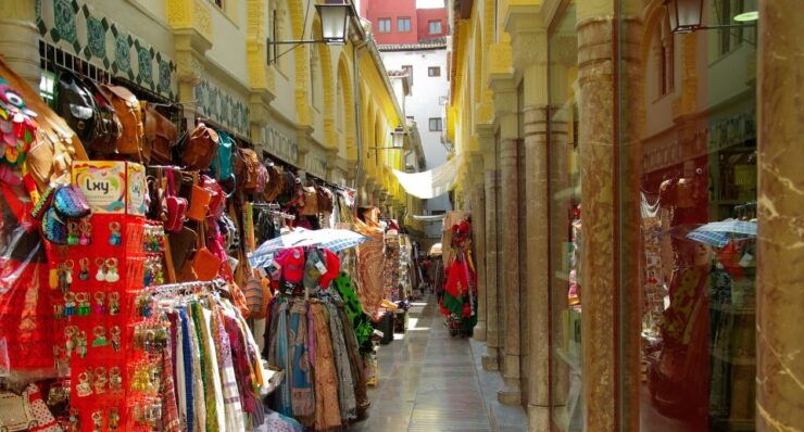 Granada: Cathedral & Royal Chapel Skip the Line Tour - Tour Details