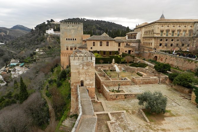 Granada Day Trip: Alhambra & Nazaries Palaces From Seville - Tour Guides