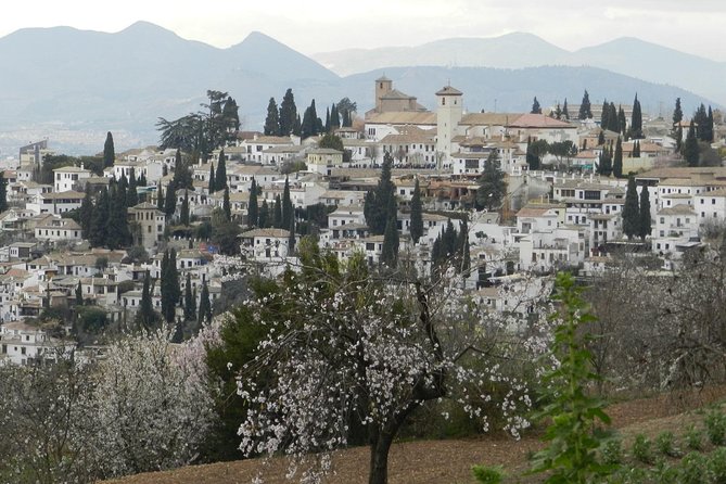 Granada Day Trip: Alhambra & Nazaries Palaces From Seville - The Sum Up