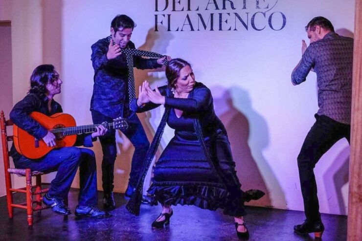 Granada: E-Bike Tour and Flamenco Show - Good To Know