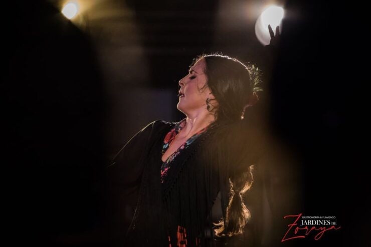 Granada: Flamenco Show in Albaycin - Jardines De Zoraya - Ticket Details