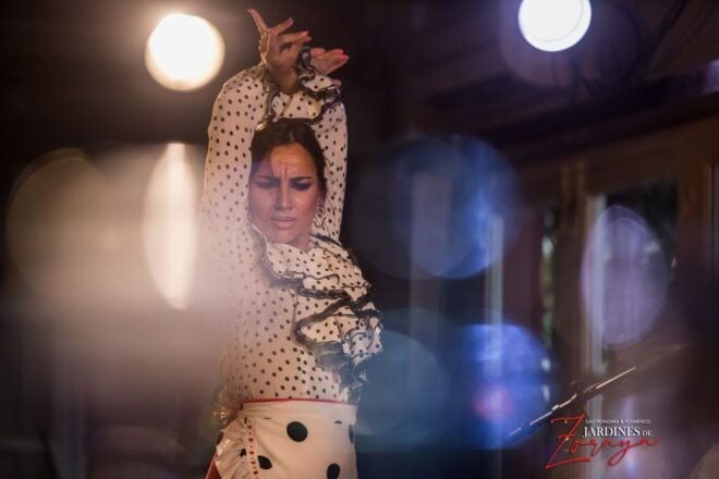 Granada: Flamenco Show in Albaycin - Jardines De Zoraya - Full Description