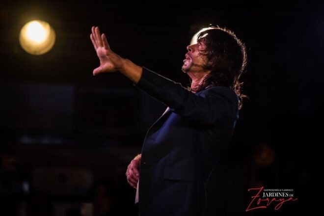 Granada: Flamenco Show in Albaycin - Jardines De Zoraya - Review Summary