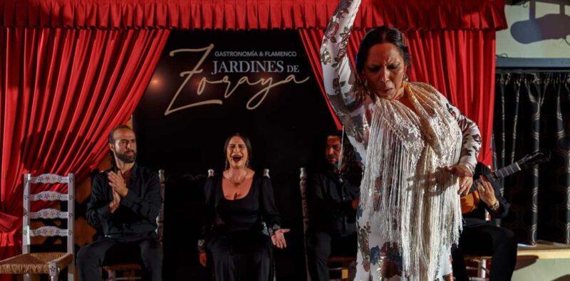 Granada: Flamenco Show in Albayzín - Jardines de Zoraya - The Value and Overall Experience
