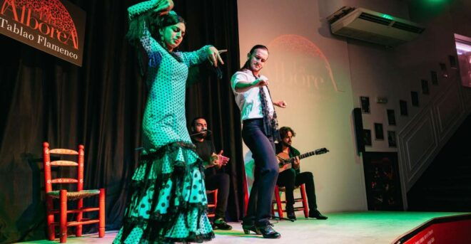 Granada: Flamenco Show in La Alboreá - Full Description