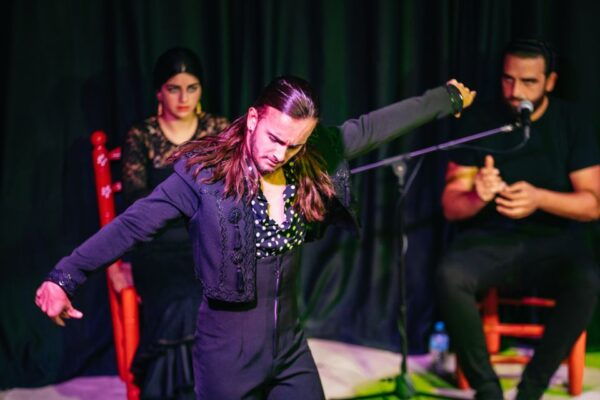 Granada: Flamenco Show in La Alboreá - The Sum Up