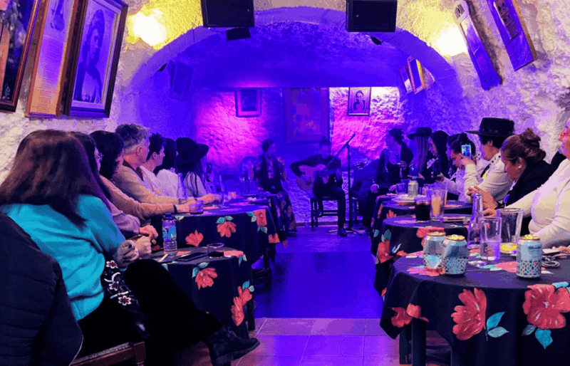 Granada: Flamenco Show in the Cave LA FARAONA - Good To Know