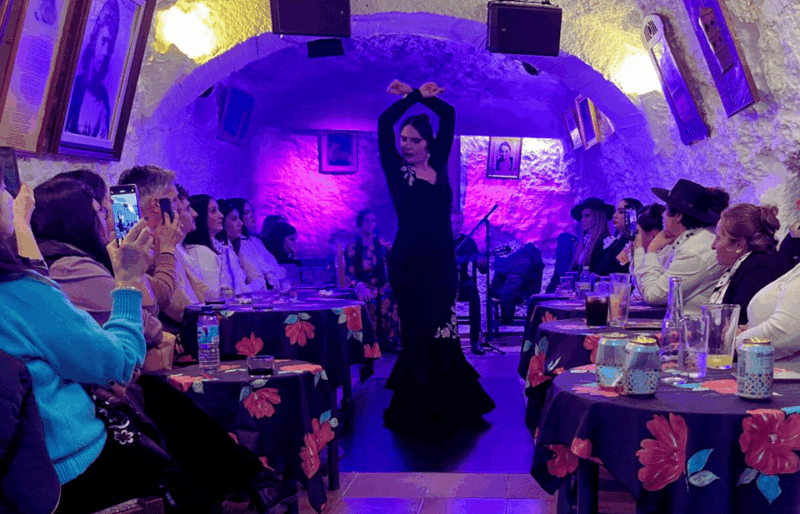 Granada: Flamenco Show in the Cave LA FARAONA - Reservation Details