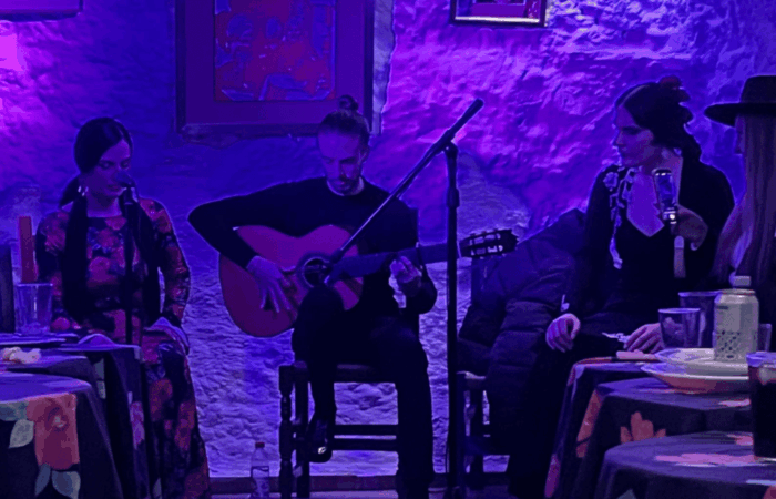 Granada: Flamenco Show in the Cave LA FARAONA - The Essence of Sacromonte