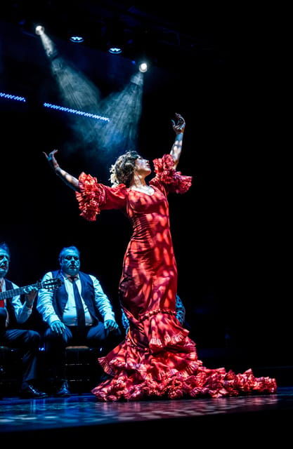 Granada: Flamenco Show Sensations at the Flamenco Theater Granada - Good To Know