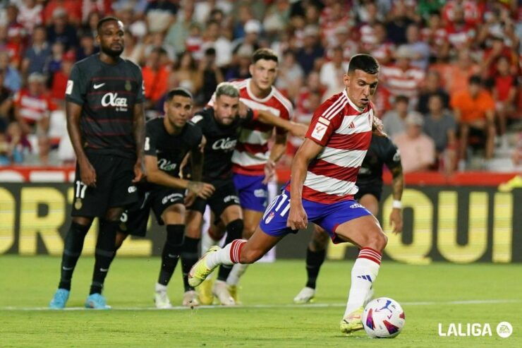 Granada Football Match in VIP Box - Ticket Details for the Granada Match