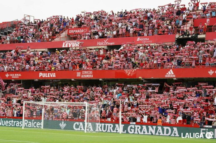 Granada Football Match in VIP Box - VIP Experience at the Stadium