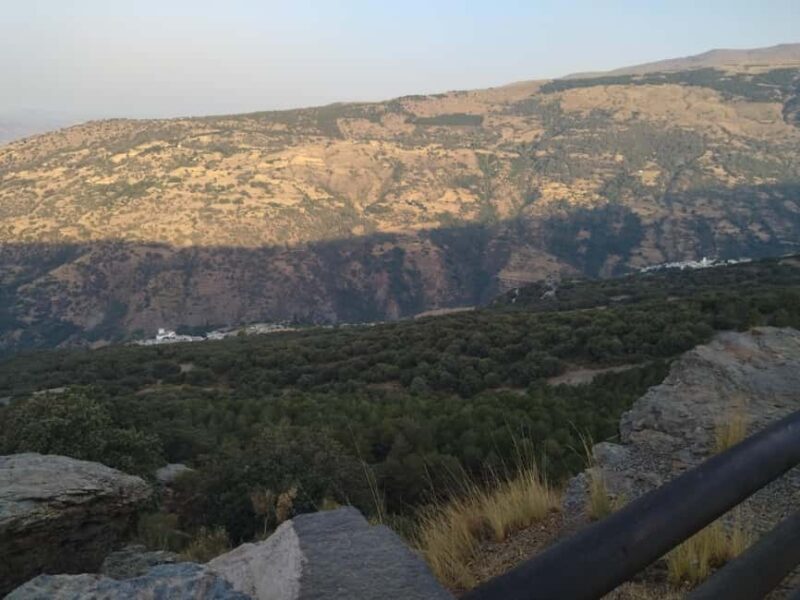 Granada: Full-Day South Tour with Guide - An In-Depth Look at the Full-Day South Tour  