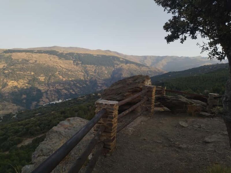 Granada: Full-Day South Tour with Guide - What Travelers Say  