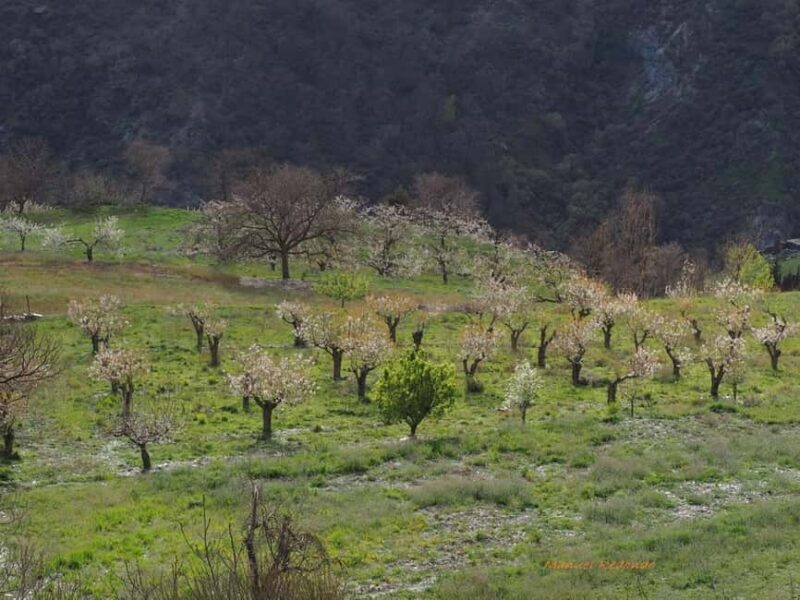 Granada: Guided Hiking Tour - Good To Know