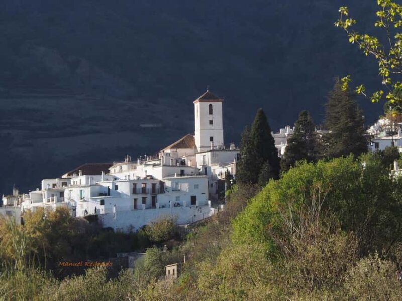 Granada: Guided Hiking Tour - What Makes the Granada Guided Hiking Tour Special?