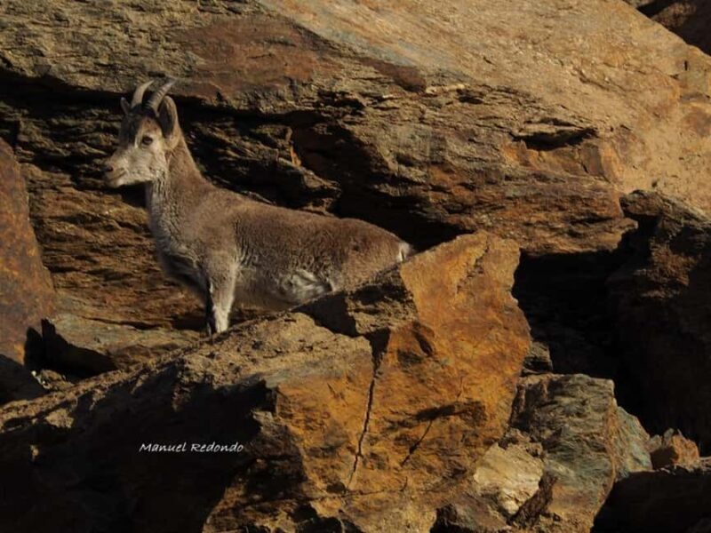 Granada: Guided Hiking Tour - Value and Practical Considerations