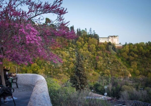 Granada: Half-Day 4-Neighborhoods 4-Cultures Private Tour - The Sum Up
