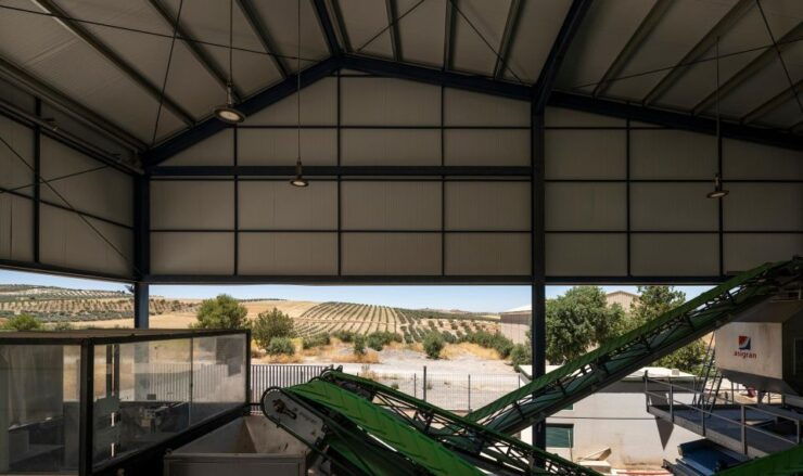 Granada in EVOO: Become a Real Olive Harvester for a Day - Experience Details