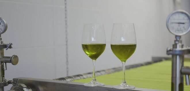 Granada in EVOO: Become a Real Olive Harvester for a Day - Additional Information