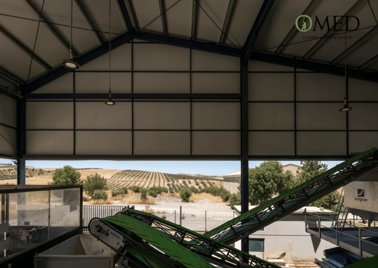 Granada in EVOO: Guided Tour and Unique Sensorial Tasting - Scenic Views of the Sierra Nevada and Olive Groves