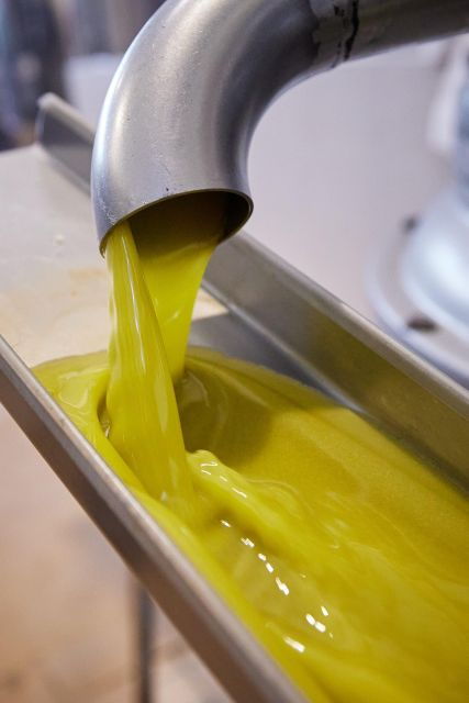 Granada in EVOO: Guided Tour and Unique Sensorial Tasting - Minimum Participants and Accessibility