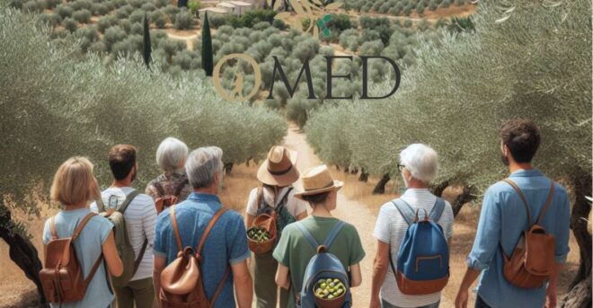 Granada in EVOO: Olive Grove Guided Tour and Sensory Tasting - Experience Description