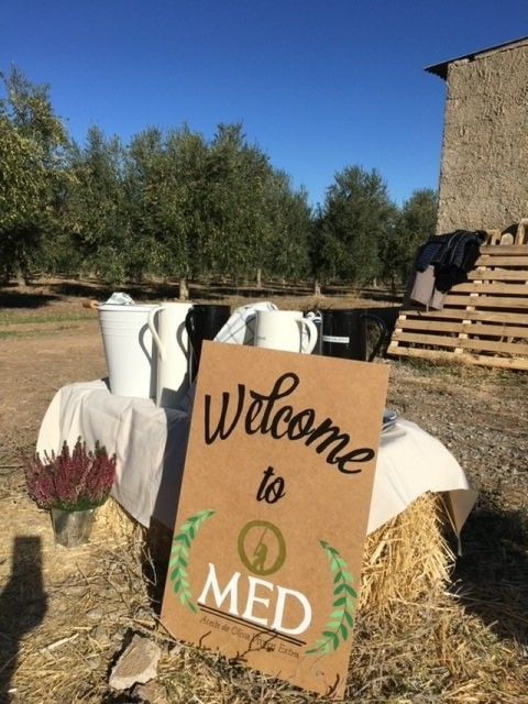 Granada in EVOO: Picnic Among Olive Trees and Unique Views - Booking Information