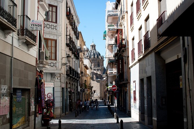Granada Like a Local: Customized Private Tour - Language Options