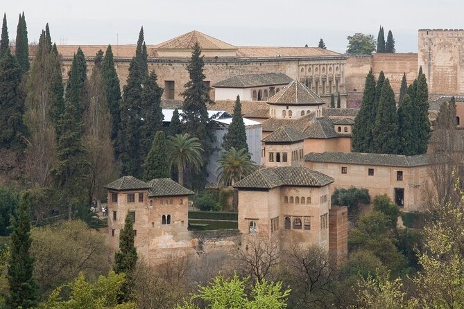 Granada Like a Local: Customized Private Tour - Common Questions