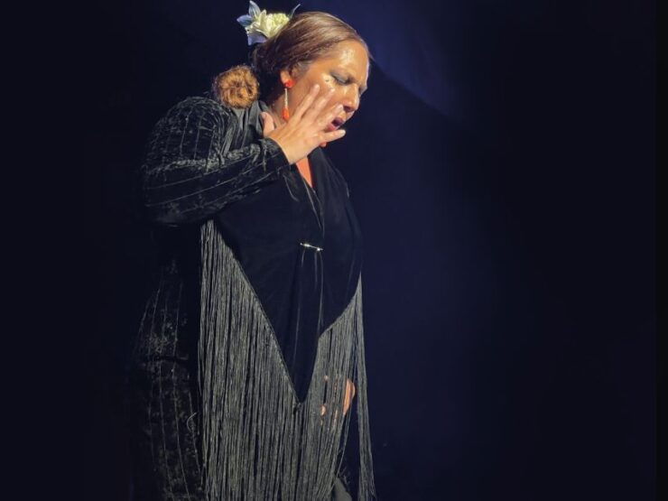 Granada: Live Flamenco Show at Casa Ana Entry Ticket - Experience Highlights