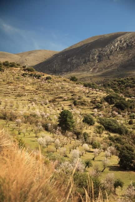 Granada: Nature, Wildlife and Authentic Villages E-bike Tour - Final Thoughts