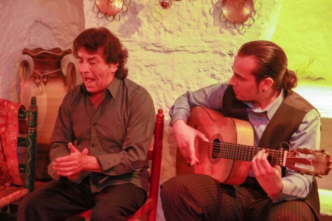 Granada: Sacromonte Caves Flamenco Show With Dinner - Review Summary