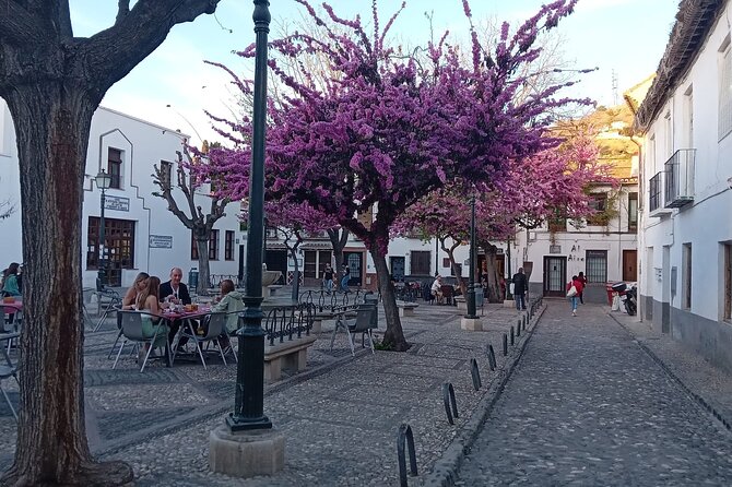 Granada Tour in Alhambra Albaicin and Sacromonte - Note (Disclaimer)