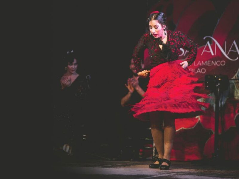 Granada: Traditional Flamenco Show at Tablao Casa Ana - Good To Know
