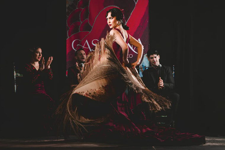 Granada: Traditional Flamenco Show at Tablao Casa Ana - Performance Highlights