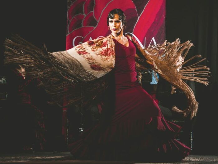 Granada: Traditional Flamenco Show at Tablao Casa Ana - Why Choose Tablao Casa Ana?