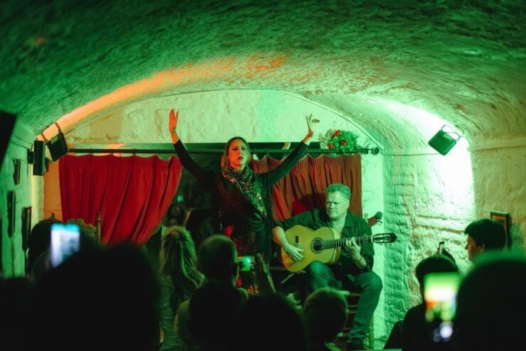 Granada: Traditional Flamenco Show in a Cave Entry Ticket - Experience Highlights