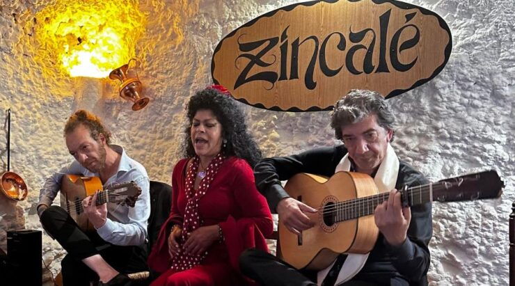 Granada: ZINCALÉ Flamenco Show in Sacromonte Caves - Show Highlights and Description