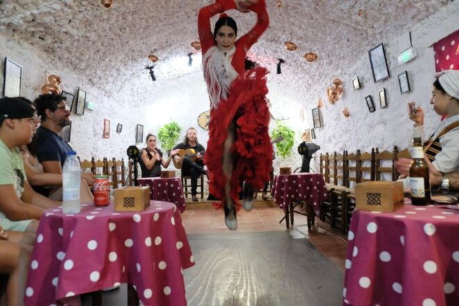 Granada: ZINCALÉ Flamenco Show in Sacromonte Caves - Inclusions and Daily Performances